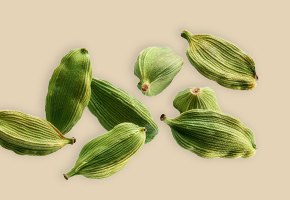 Green cardamom pods
